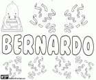 Bernardo, Cermen adı Bernhard'ın Latin şeklidir. Bunun anlamı bir ayı gibi güçlü. Bernardo, İspanyolca, Portekizce ve İtalyanca erkek ismi