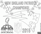 New England Patriots, 2015 Super Bowl şampiyonları. Seattle Seahawks maçı sonucu, 28-24 oldu. Tom Brady quarterback final MVP seçildi