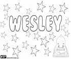 Wesley, çeşitli kökenli İngiliz kökenli isim. Kısa adı Wesleydale şeklinde