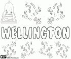Wellington, çocuk için İngilizce kökenli isim. Wellington, Wellington çesidi