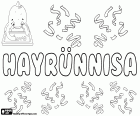 Hayrünnisa, Türkiye'de bir kız için bir isim. Hayrünnisa, Arapça isim Khairunnisa ya da Khair al-nisa çesidi. Onun anlamı onlar Barış Bayan