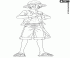 Kaptan Monkey D. Luffy ünlü şapkasını kafasında One Piece New World saman ile