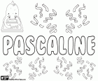 Pascaline, kızlar için Fransız adı. Pascaline, Pascale, Pascal kadın formunu çesidi. Tüm bu Fısıh Bayramı, Paskalya ile ilgili anlamına gelir Latince Paschalis türetilen isimleri