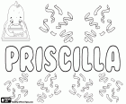 Priscilla, Priscila, Priscille ve Pryscylla bir türevi. Priscilla, latin kökenli kız için bir isim. Priscilla, İncil, karakter Yeni Ahit