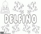 Delfino, Latince Adı yunus anlamına gelen Yunanca kelime delphis gelir Delphinus türetilen bir ad