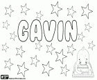 Gavin, İngilizce, Fransızca ve Ortaçağ adından Gawain gelen İskoç erkek adı
