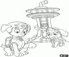 Zuma ve Skye Paw Patrol Merkezi dışında bulunmaktadır. Kukla uyarı sinyali onların etkileşimli kolye almak.
