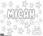 Micah, eril isim, Micaiah ve Micajah, İncil İbranice özgün adının çesidi. Micah, aynı zamanda kızlar, bir İncil karakter adını, Kral Saul kızı için kullanılan ad