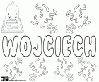 Wojciech, diğerleri arasında Wojtek, Wojtuś ve Wojcio türevleri ile çocuk için Lehçe adı