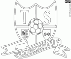 TS Podbeskidzie, Towarzystwo Sportowe Podbeskidzie Bielsko-Biała, Bielsko-Biała, Silezya Voyvodalığı, Karpatlar ayak Biała nehir kıyısında şehir içinde futbol kulübü logosu Güney Polonya, Çek Cumhuriyeti ve Slovakya ile sınırları yakınında bulunan
