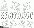 Xanthippe, Yunan kız, aynı adı taşıyan başka bir versiyonudur Xanthippi adıdır. Xanthippe Sokrates, ünlü Yunan filozofu karısıdır