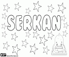 Serkan, Türkçe ve Farsça kökenli erkek adı, Sercan çesidi