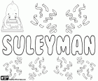 Suleyman, Süleyman, Erkek çocuk için Türkçe adı, Sulayman, Sulaiman ve Suleiman, bir türevi için adı İbranice kökenli Shelomoh, Süleyman adından türetilmiş, anlamını huzur dolu