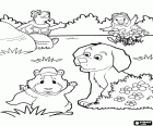 Üç Wonder Pets kahraman köpek bahçede oynuyorlar