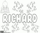 Richard, İngilizce, Almanca, Fransızca, Romence, Macarca, Çek, Slovak ve Felemenkçe gibi birçok dilde Cermen kökenli erkek adı