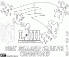 New England Patriots Super Bowl 2019 şampiyonudur. Onlar Los Angeles Rams için son 13-3 tarafından üstesinden geldi. MVP Julian Edelman olmuştur. New England Patriots ve oyun kurucu Tom Brady onların altıncı şampiyonluğunu var