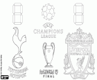 Liverpool karşı Tottenham, UEFA Şampiyonlar Ligi 2018-2019, Estadio Metropolitano, Madrid, İspanya, 1 Haziran 2019 son