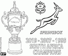 Güney Afrika 2019'un yeni rugby dünya şampiyonu. Springboks, 1995 ve 2007 şampiyonluklarından sonra üçüncü dünya şampiyonluğunu kazandı.