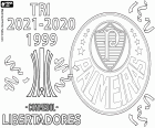 Sociedade Esportiva Palmeiras üçüncü Copa Libertadores şampiyonu unvanını kazandı. Palmeiras, finalde Flamengo'yu 5. dakikada Raphael ve 95. dakikada Deyverson'un belirleyici golüyle 2-1 yendi ve 72. dakikada Gabriel Barbosa'nın carioca takımına attığı golle öne geçti.