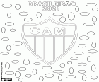 Clube Atlético Mineiro, Brezilya Şampiyonası'nın Série A takımı olan Brasileirão 2021'in şampiyonudur. Bu, elli yıl önce, 1971'de elde edilenden sonra Belo Horizonte kulübünün ikinci unvanıdır.