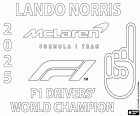 Lando Norris, 2025 F1 Dünya Şampiyonu oldu. İngiliz McLaren pilotu, 2024'te ikinci olarak bitirdiği Formula 1 Dünya Pilotlar Şampiyonluğu unvanını ilk kez elde etti.