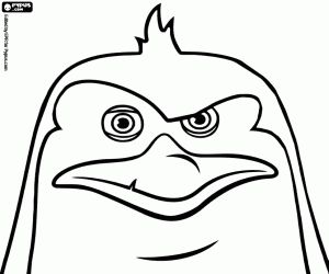 Rico, penye penguen yüzü boyama