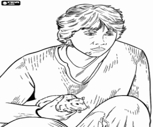 Ron fare el ile boyama