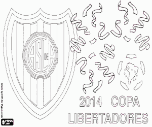 San Lorenzo, Libertadores 2014 boyama