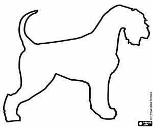 Schnauzer köpeğinin silueti boyama