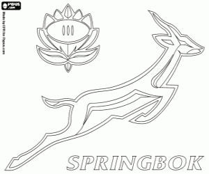 Sringboks logo boyama
