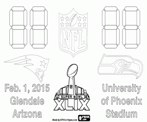Super Bowl 2015, Arizona boyama