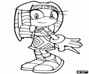 Tikal, Sonic karakter boyama