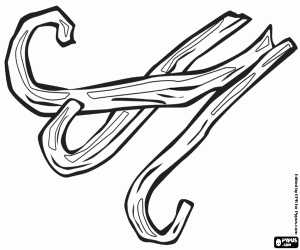 Vanilya üç bakla boyama