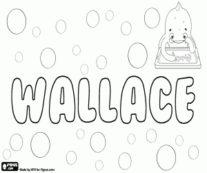 Wallace, İskoç ve İngiliz adı boyama