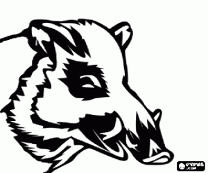 Yaban domuzu dişleri ile baş boyama