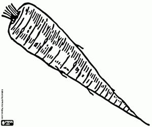 Yaban havucu, yenilebilir bir kök boyama