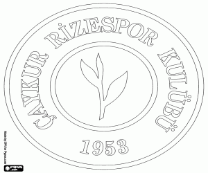 Çaykur Rizespor kalkan boyama
