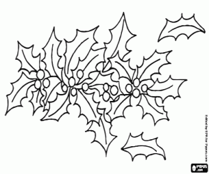 Çoban püskülü ile bitkisel Noel süs boyama