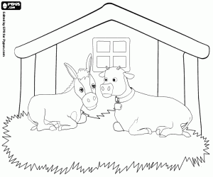 Öküz ve istikrarlı katır boyama