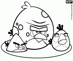 Üç kızgın kuşlar, Angry Birds boyama