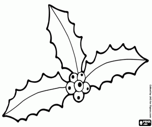 Üç çoban püskülü yaprak meyve ile boyama