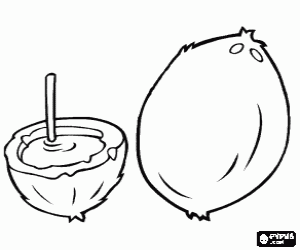 İki hindistancevizi boyama