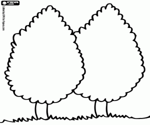 İki selvi, Cupressus boyama