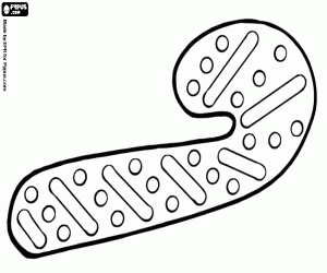 Şeker kamışı olarak Noel kurabiyesi boyama