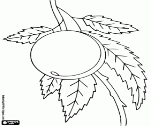 Bir şeftali ağacı üzerinde boyama